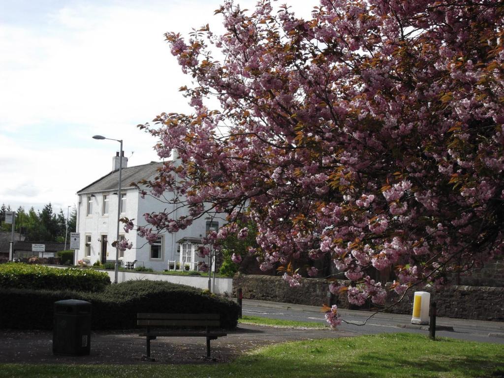 Kirkcroft Guest House Gretna Exterior photo